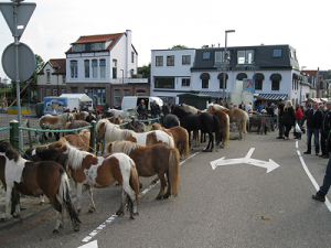 Paardenmarkt Oud IJsselmonde 25 juni a.s.