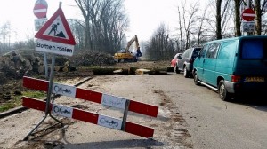 Bomenkap populieren zijstraat Beverwaardseweg