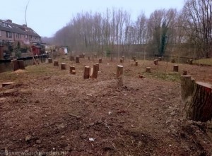 Volledige kap achter de Geullestraat 