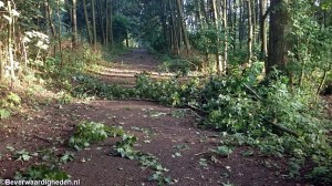 Randpark A16 na Zomerstorm