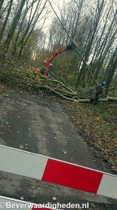 Snoeiwerkzaamheden langs fietspad in randpark