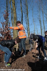 Boomplantdag in randpark Beverwaard